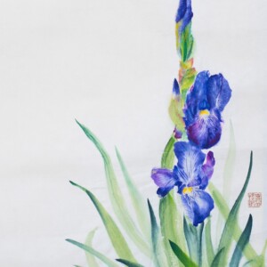 Irises / Irysy Saiboku inks on handmade washi paper 30 × 43 cm Kolorowe tusze saiboku na ręcznie wykonanym papierze washi 30 × 43 cm