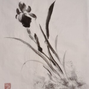 Iris / Irys Sumi ink on handmade washi paper 35 × 28 cm Tusz sumi na ręcznie wykonanym papierze washi 35 × 28 cm