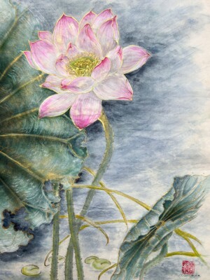 Lotus 蓮 / Lotos -Sumi ink, saiboku inks and 24-karat gold on handmade washi paper 43 × 30 cm