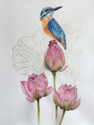 Kingfisher on the Lotus Flower / Zimorodek na Kwiecie Lotosu Gouache and 24-karat gold on silk mounted on paper 35 × 25 cm